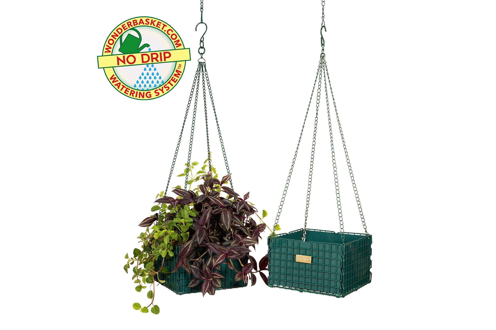no drip hanging planter Decorator No-Drip WonderBasket Hanging Basket Planter Indoor/Outdoor