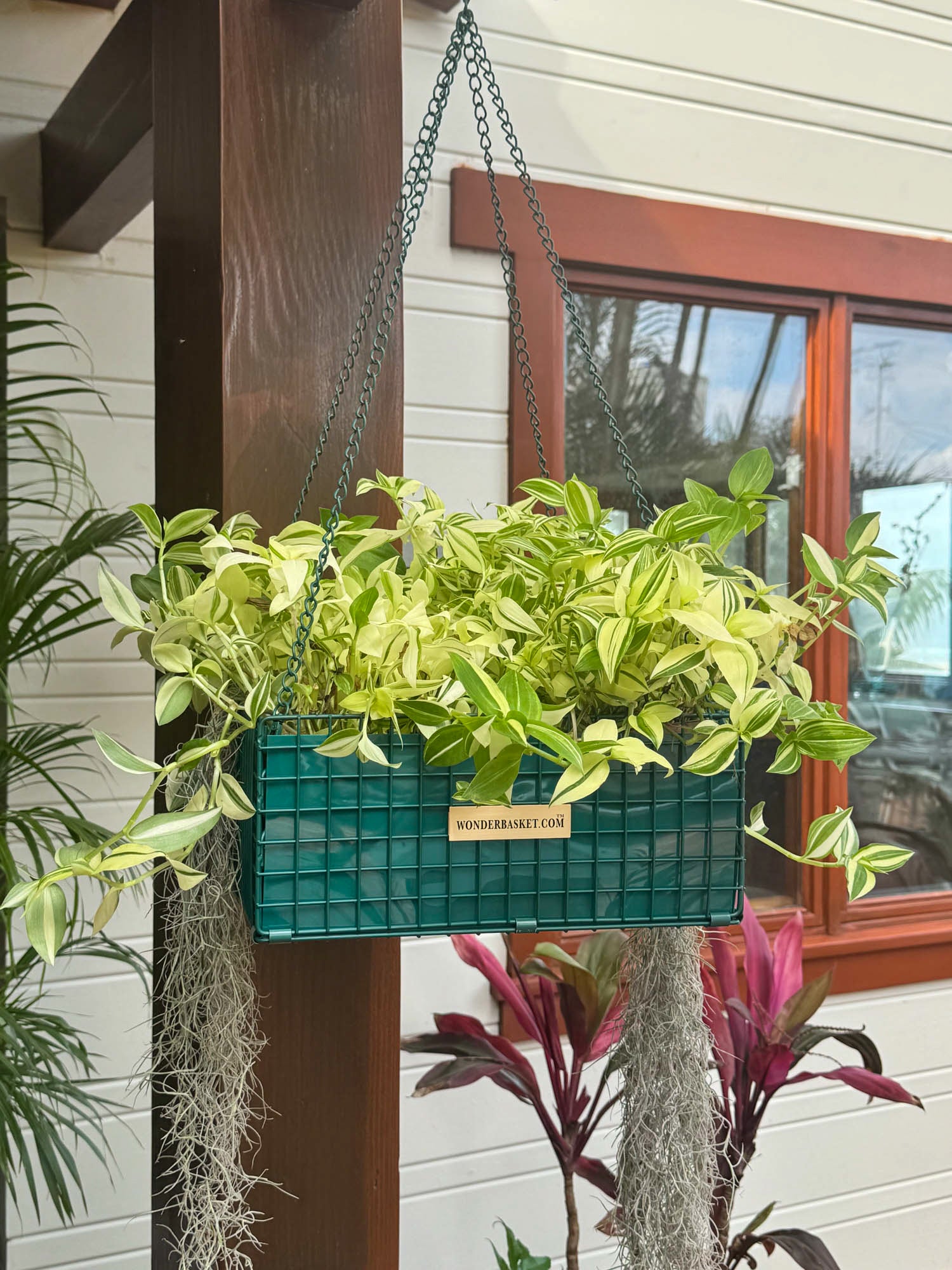 basket planters for indoor plants WonderBasket - Designer